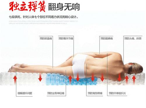 独立弹簧.jpg
